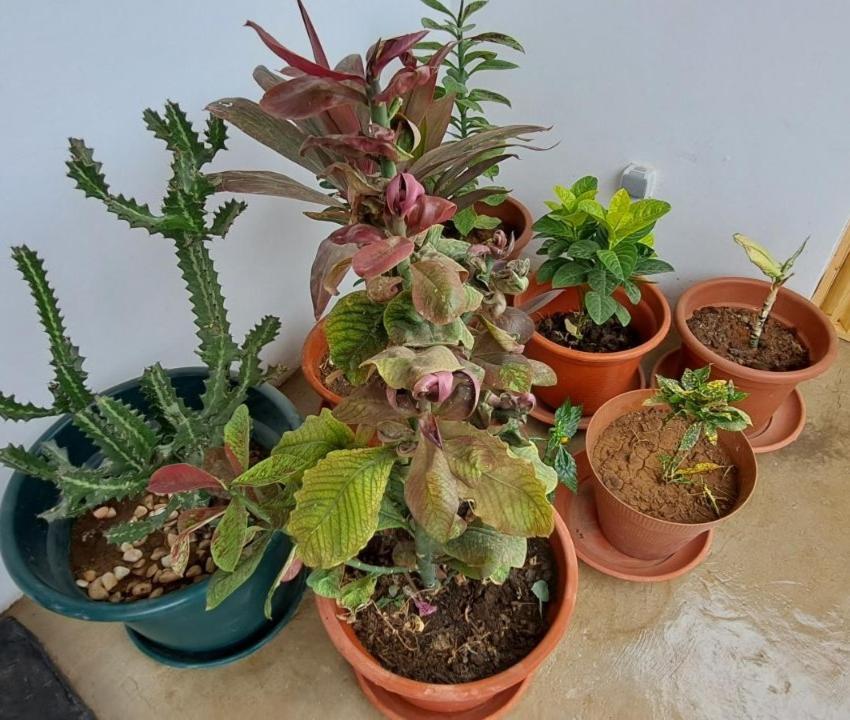 טאראפל Apartamentos Santiago - Tarrafal מראה חיצוני תמונה