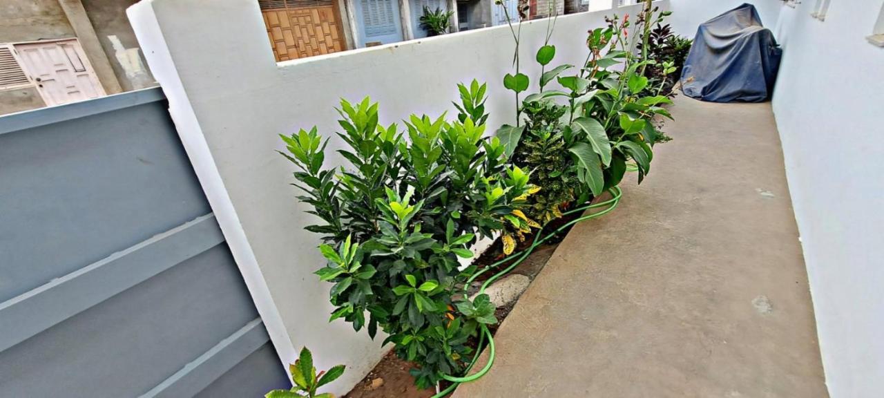 טאראפל Apartamentos Santiago - Tarrafal מראה חיצוני תמונה